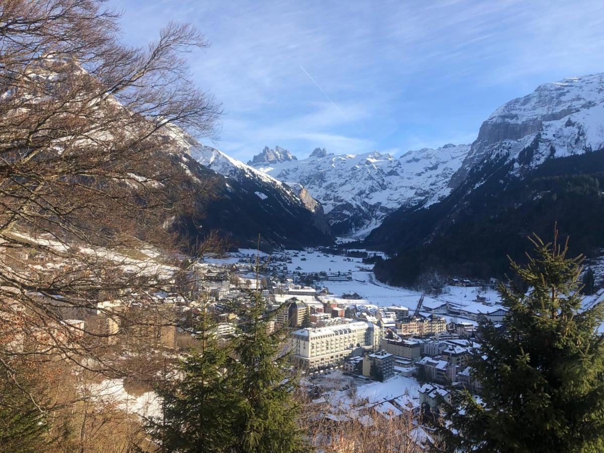 Nice Apartment Private Host Engelberg Dış mekan fotoğraf